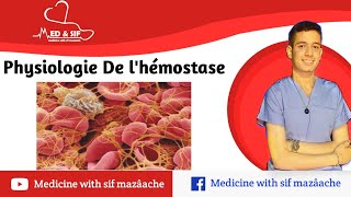 2 Physiologie de LHémostase  Physiologie 2ème MED [upl. by Dnaltroc]