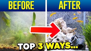 Crystal Clear Aquarium Water  Top 3 Tips SIMPLE [upl. by Ardnalahs107]