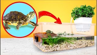 Simple and Cheap Red Eared Turtle Terrarium Tank DIY [upl. by Deb46]