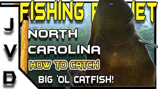 Fishing Planet Tips  How to Catch Catfish  Big ol Flatheads  Neherrin River North Carolina [upl. by Larissa]