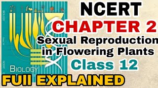 NCERT Ch2 Sexual Reproduction in Flowering plants class 12 Biology Full Explanation For BOARDSNEET [upl. by Autum358]