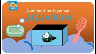 Comment nettoyer son aquarium [upl. by Atinahc]