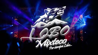 LOBO MIXTECO  LA CUMBIA DEL SUPERIOR LIVE 2020 [upl. by Tonry]