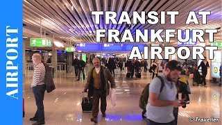 TRANSIT WALK AT FRANKFURT Airport FRA Terminal 1  Connection Flight Transfer Arriving amp Departing [upl. by Emilie]