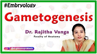 Gametogenesis  Introduction to Embryology [upl. by Valora162]