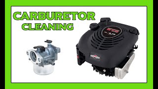 CLEANING A Briggs amp Stratton Quantum Lawnmower Carburetor [upl. by Eyatnod]