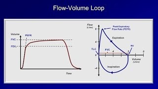 Pulmonary Function Tests PFT Lesson 2  Spirometry [upl. by Htiel]