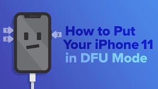 How To Put An iPhone 11 iPhone 11 Pro Or iPhone 11 Pro Max In DFU Mode [upl. by Penthea754]