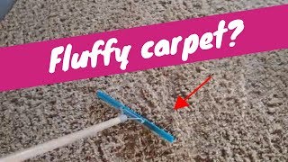 How to Fluff Carpet  Rendalls Cleaning [upl. by Earas]