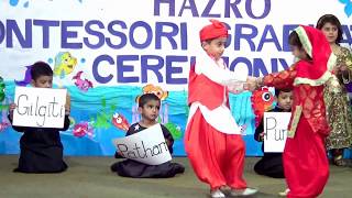 Pakistans Culture and Folk Songs by Bahria Foundation School amp College HAZRO Campus  PAKISTAN [upl. by Enerod]